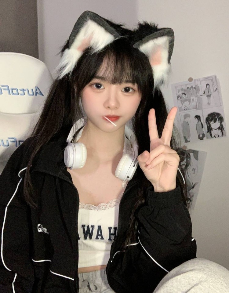 成全看免费观看完整版第二季,免费韩剧在线观看